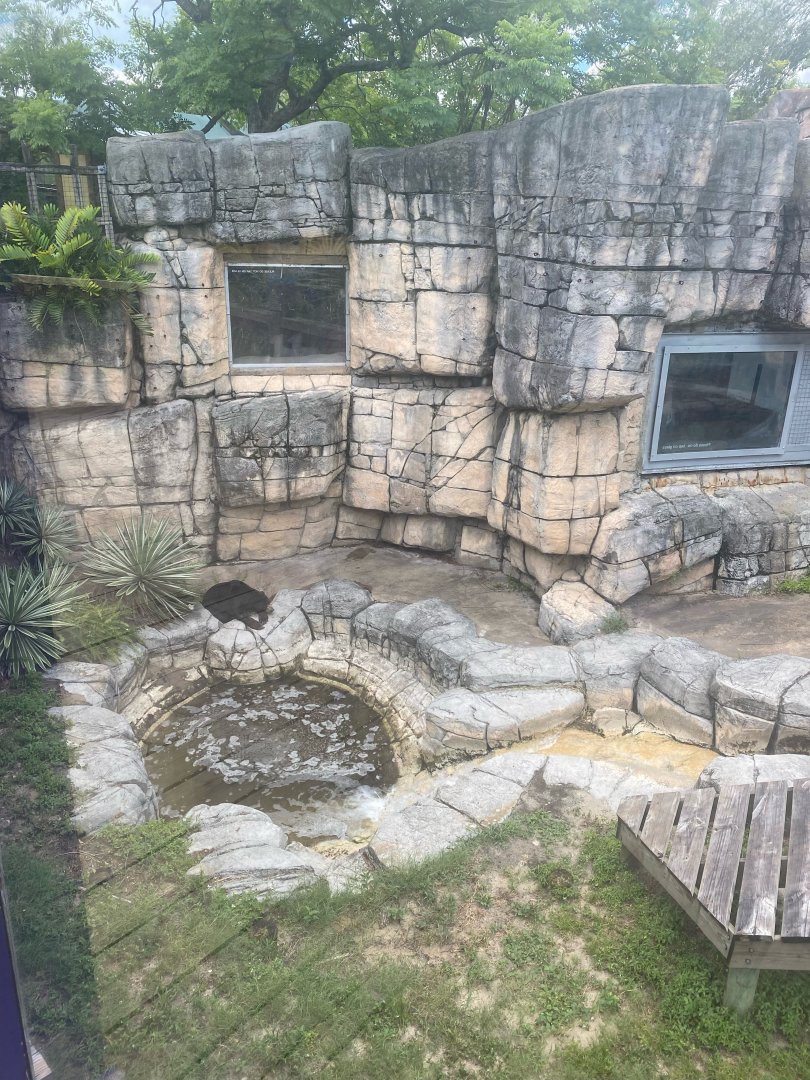 Asian Gardens- Sun Bear Exhibit