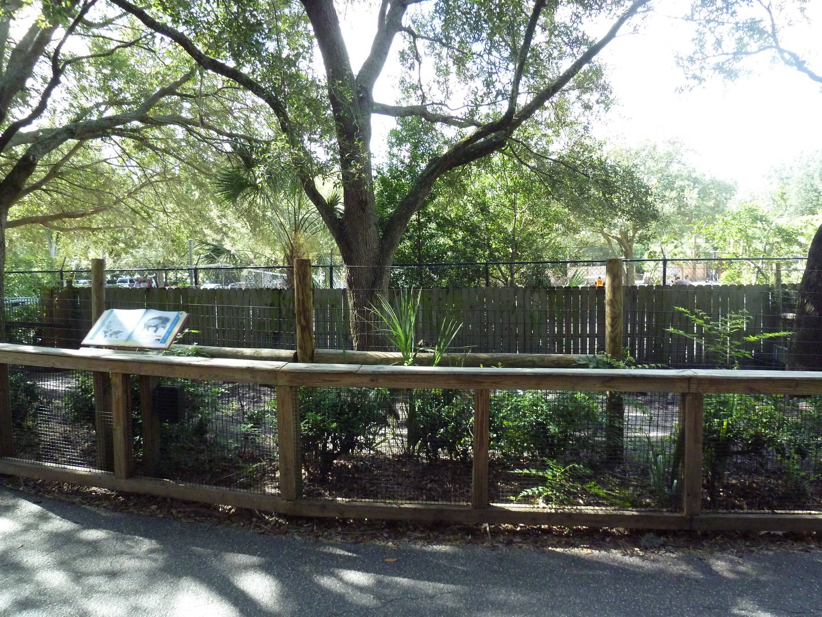 Asian Gardens - Visayan Warty Pig Exhibit