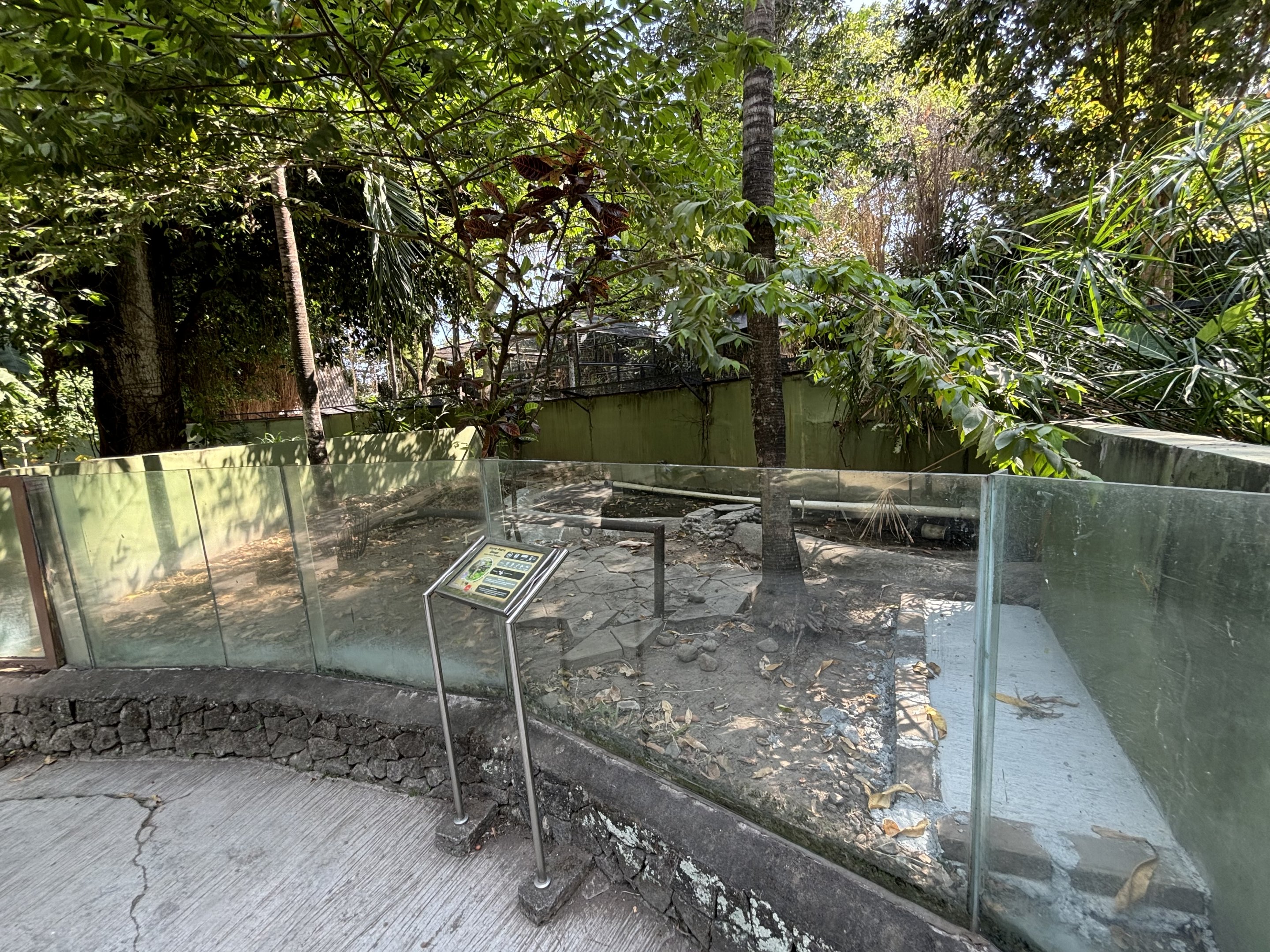 Asian Giant Tortoise Exhibit