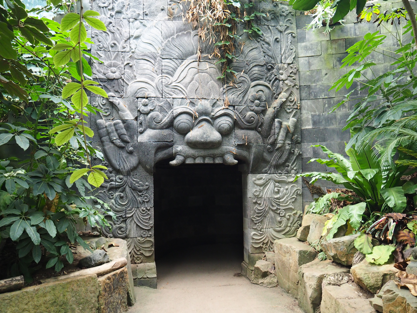 Asian greenhouse - Access to nocturnal area, 2020-01-11