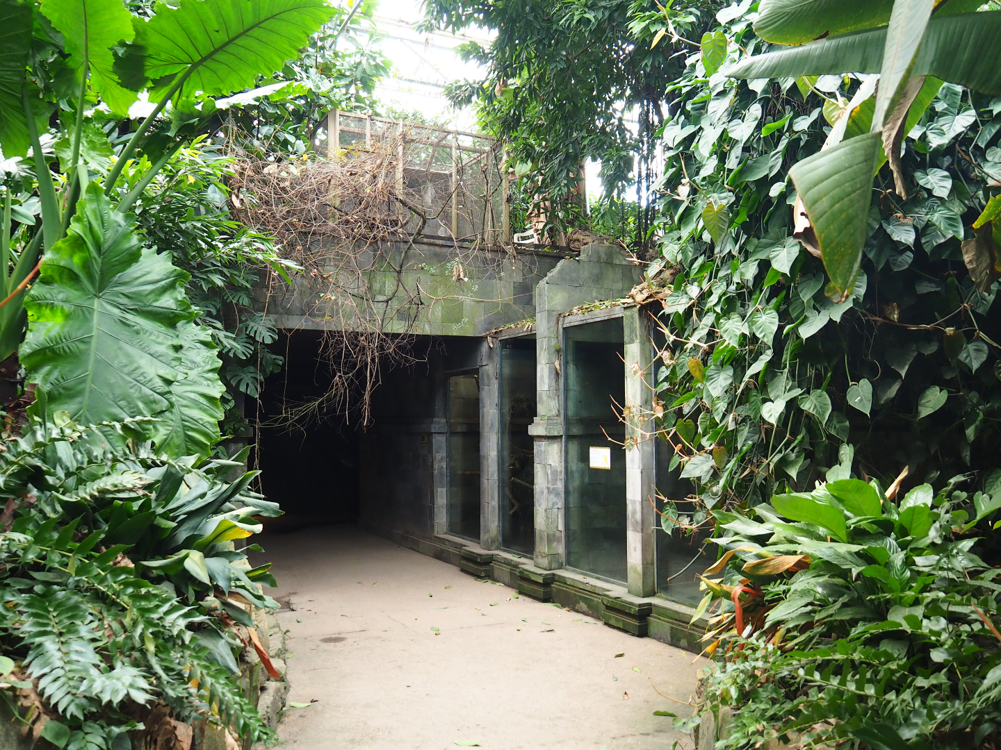 Asian greenhouse - Small mammal exhibits and access to nocturnal area, 2020-01-11