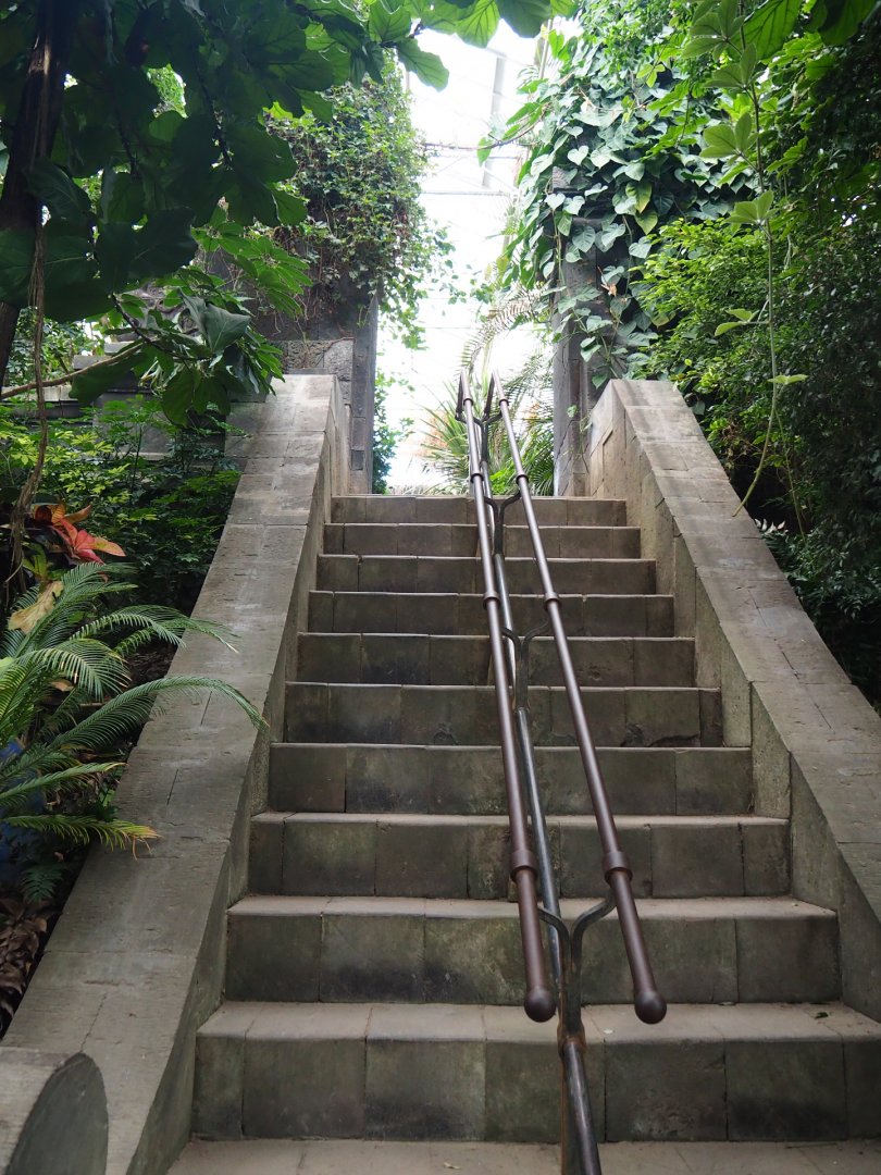 Asian greenhouse - Temple stairs, 2020-01-11