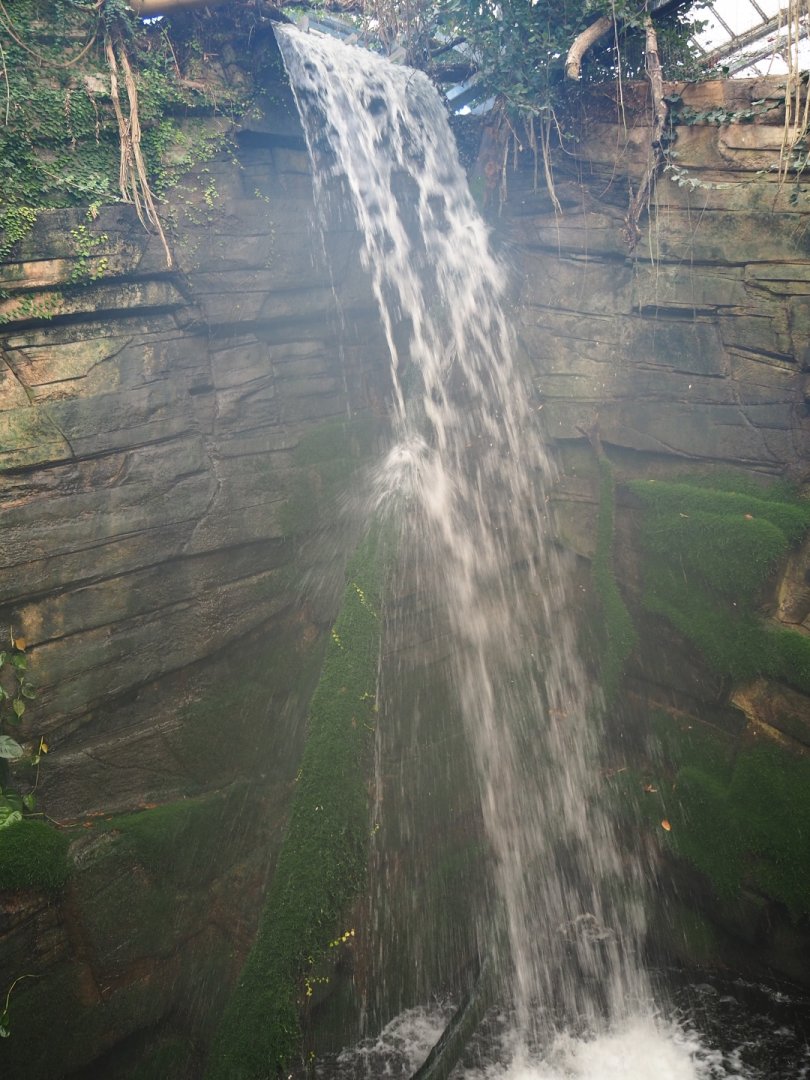 Asian greenhouse waterfall (Jan 20th, 2019)