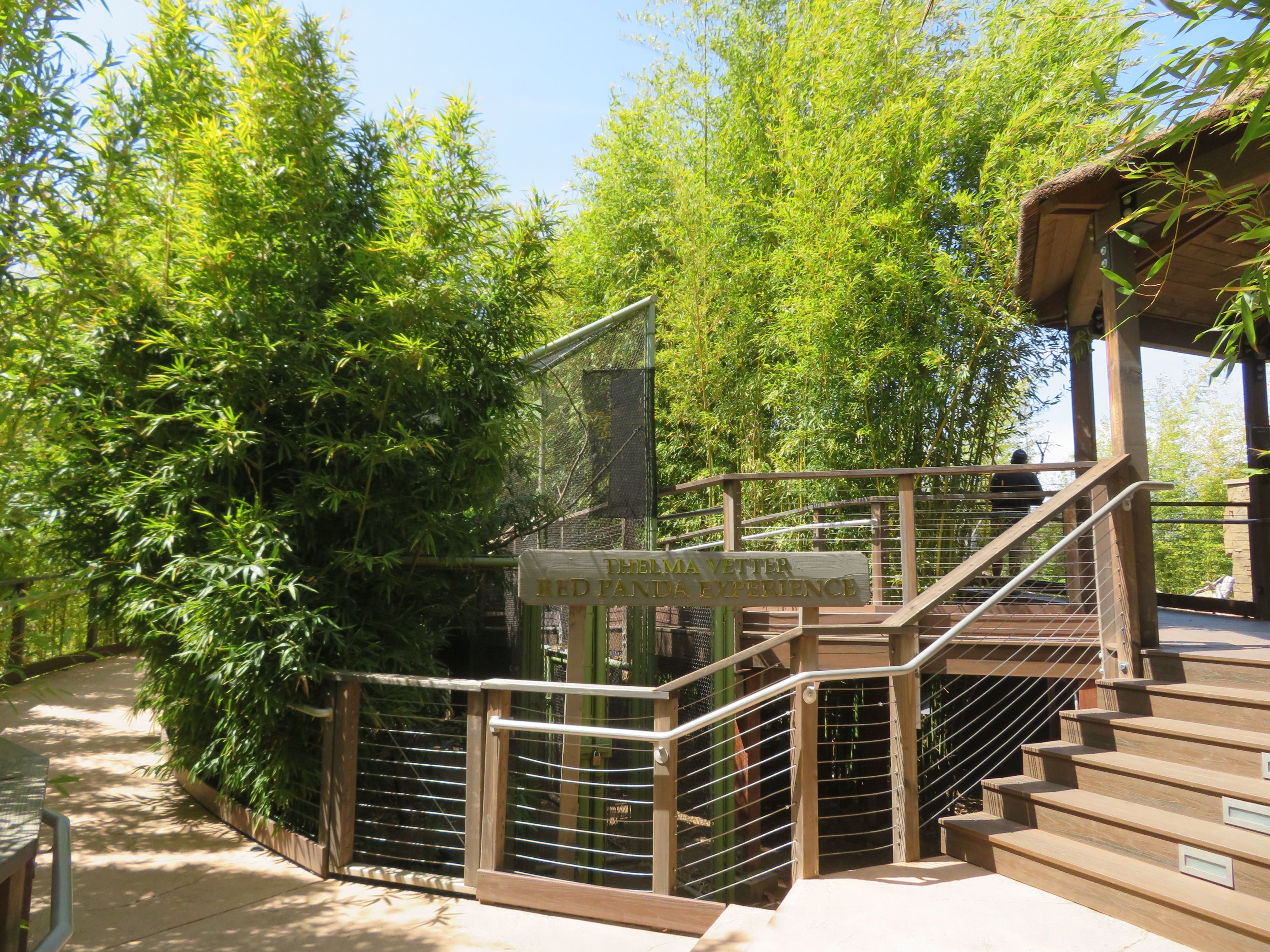 Asian Habitats and Bamboo