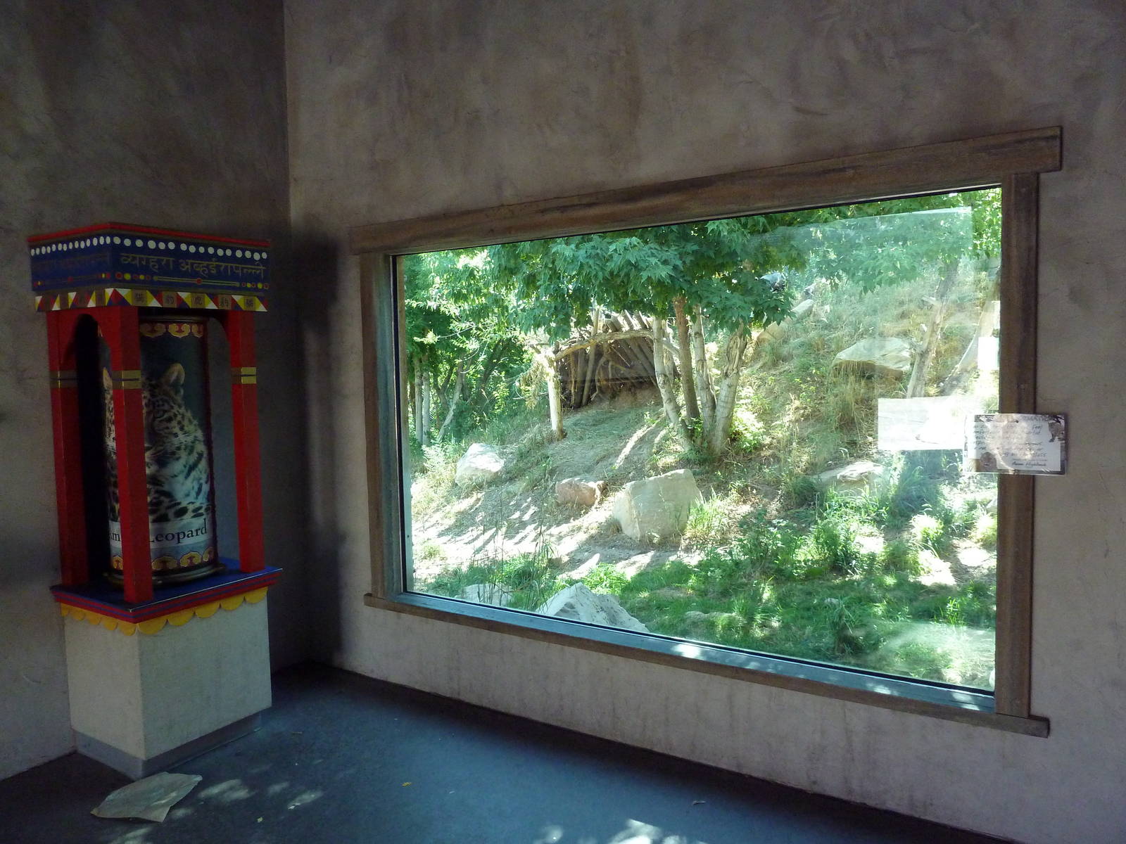 Asian Highlands - Amur Leopard Exhibit