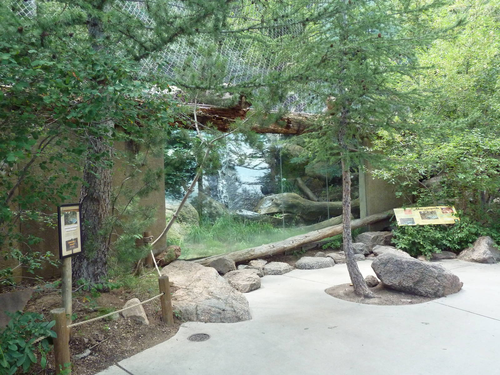 Asian Highlands - Amur Leopard Exhibit