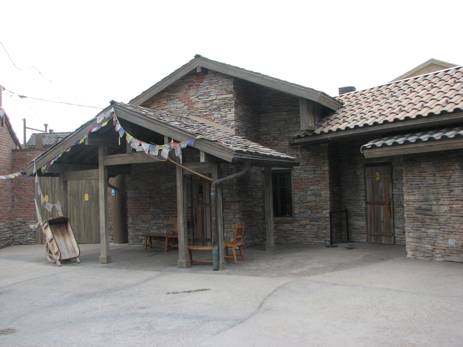 Asian Highlands - Amur Leopard Viewing