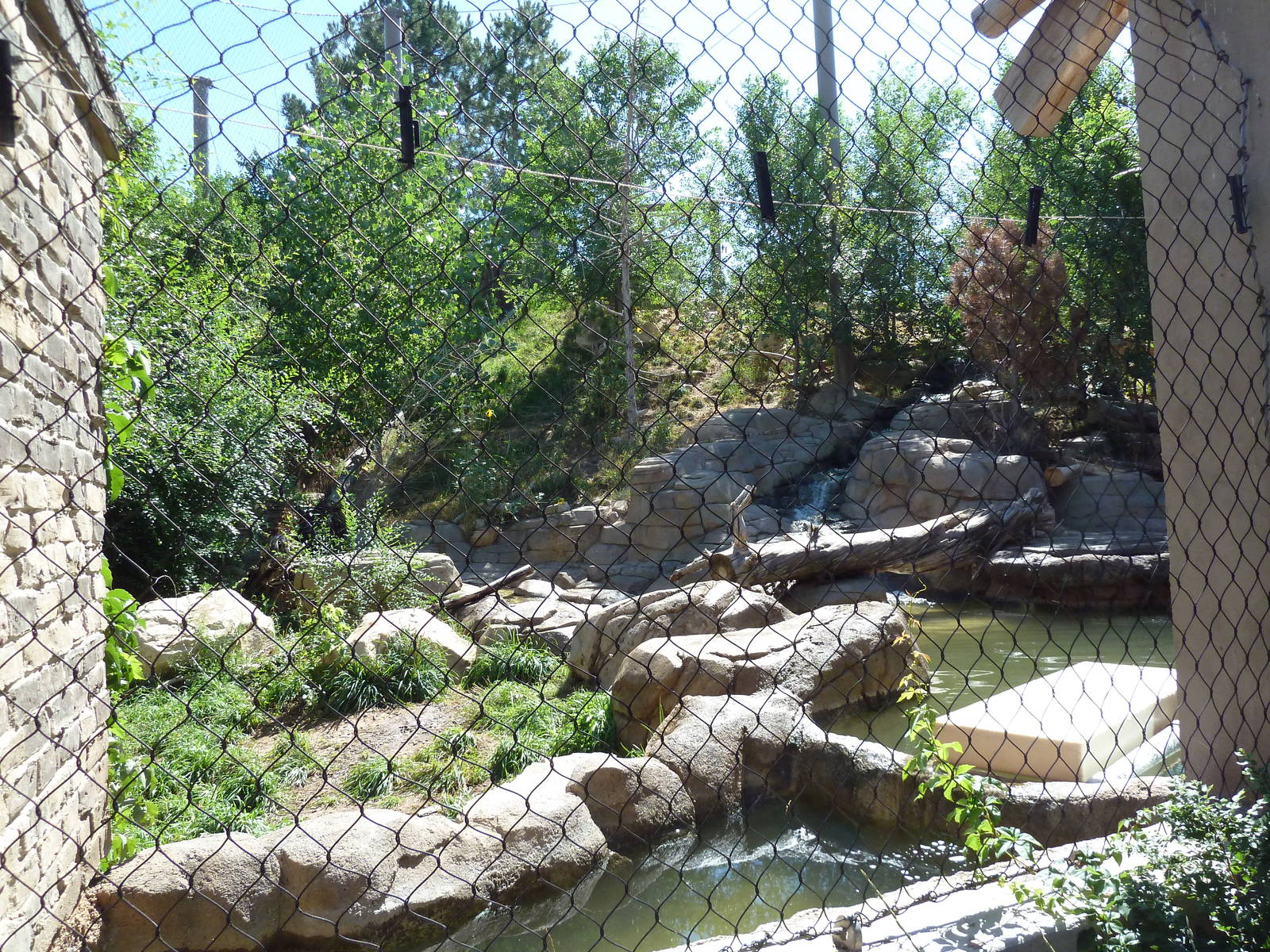 Asian Highlands - Amur Tiger Exhibit