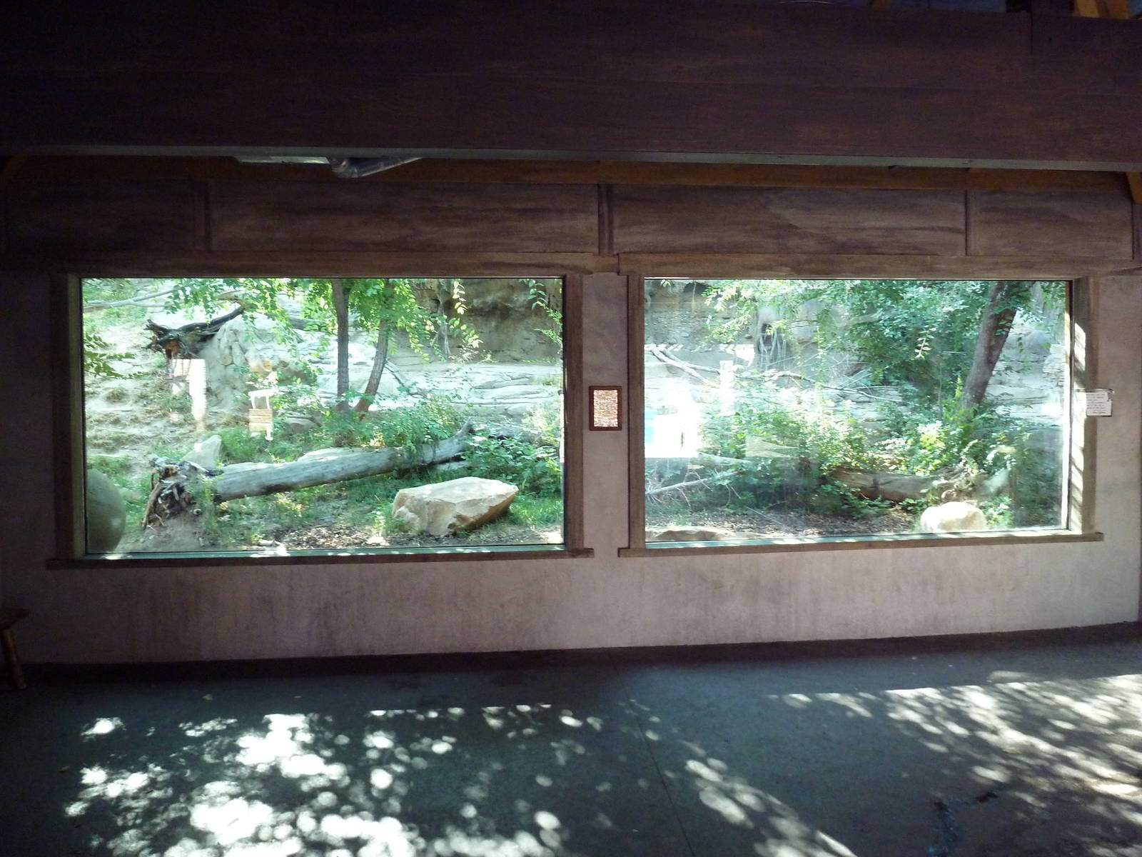 Asian Highlands - Amur Tiger Exhibit