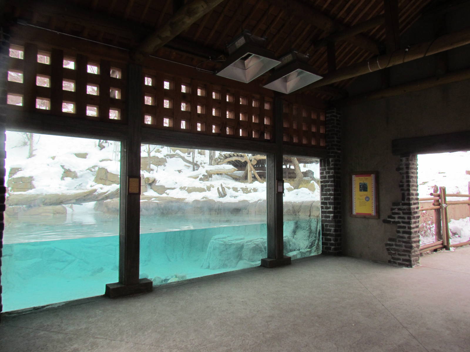 Asian Highlands - Amur Tiger Exhibit