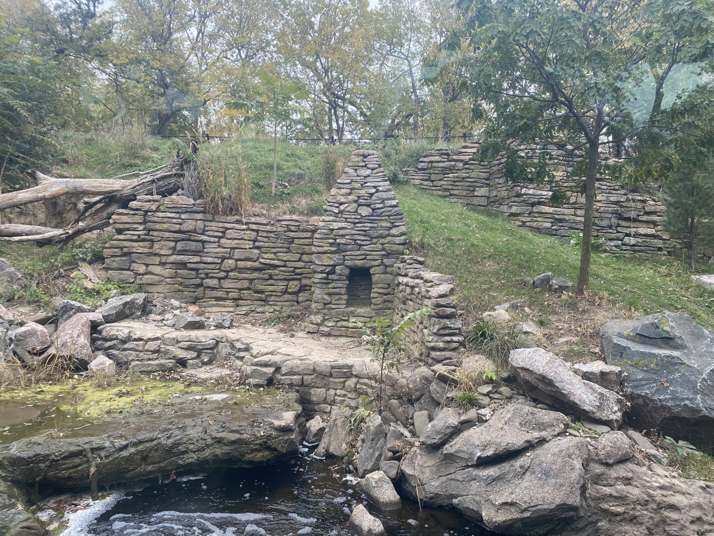 Asian Highlands - Amur Tiger Exhibit