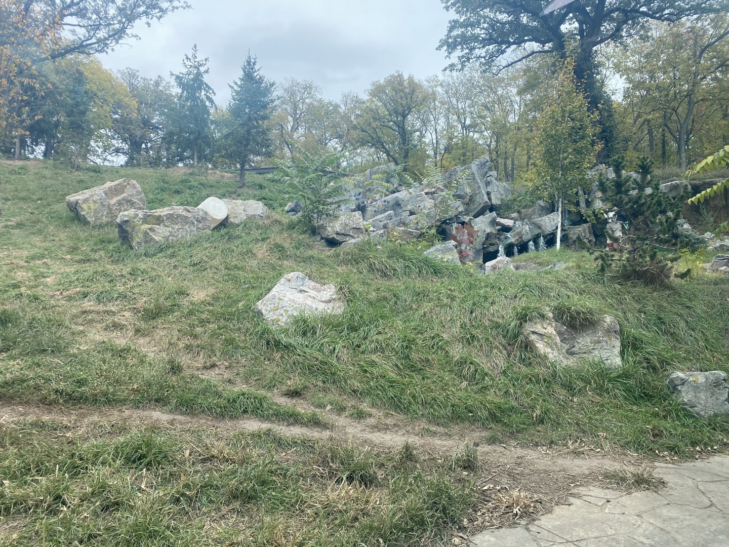 Asian Highlands - Amur Tiger Exhibit