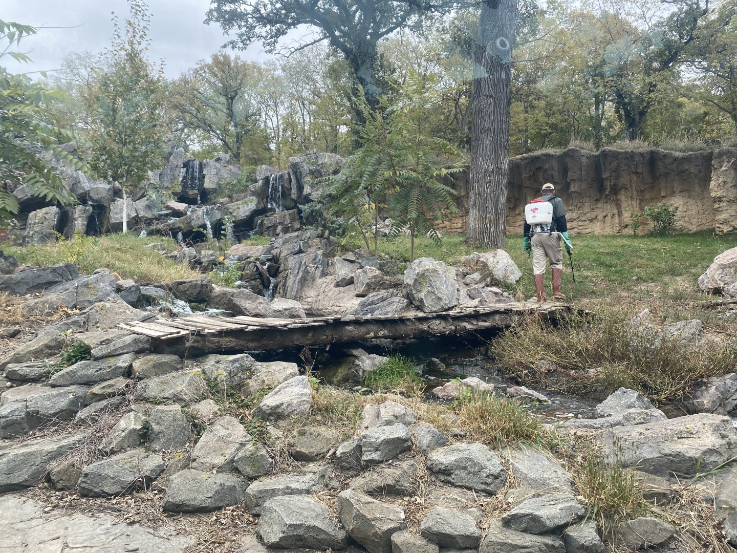 Asian Highlands - Amur Tiger Exhibit