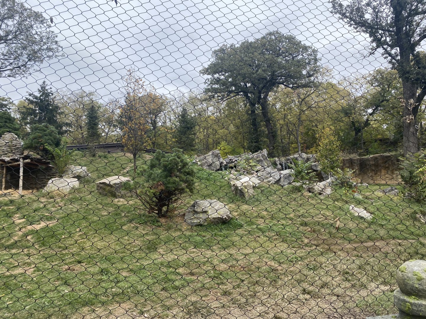 Asian Highlands - Amur Tiger Exhibit