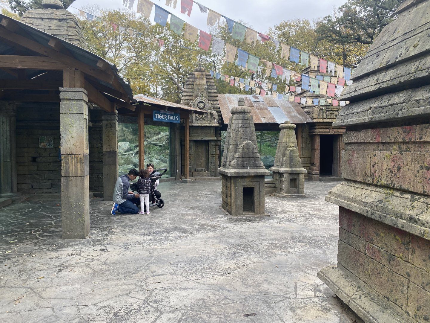 Asian Highlands - Amur Tiger Viewing Area