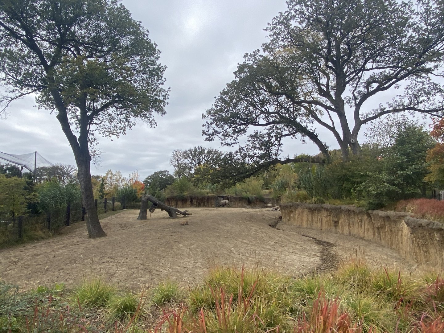 Asian Highlands - Indian Rhinoceros/Père David’s Deer Exhibit