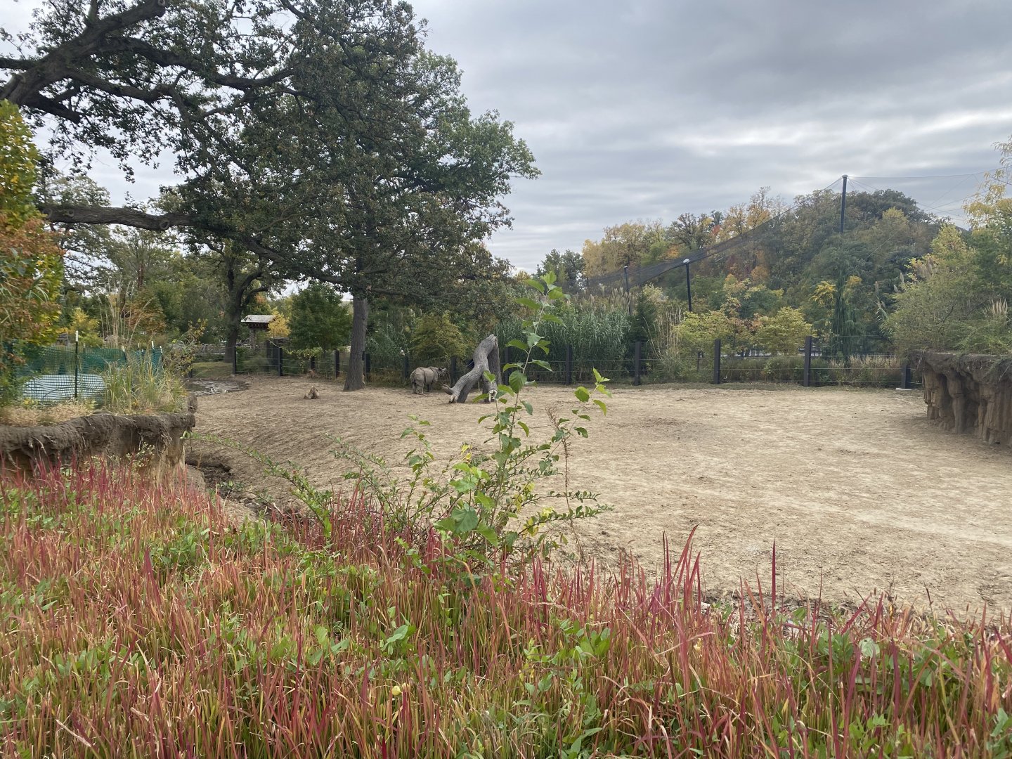 Asian Highlands - Indian Rhinoceros/Père David’s Deer Exhibit