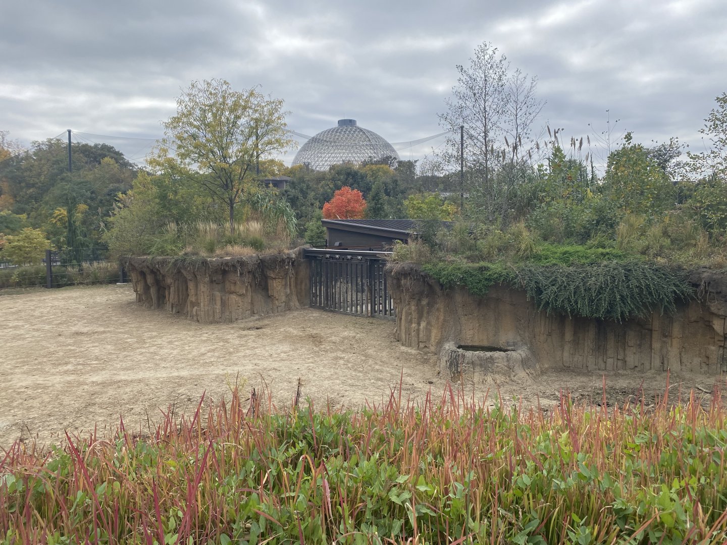 Asian Highlands - Indian Rhinoceros/Père David’s Deer Exhibit