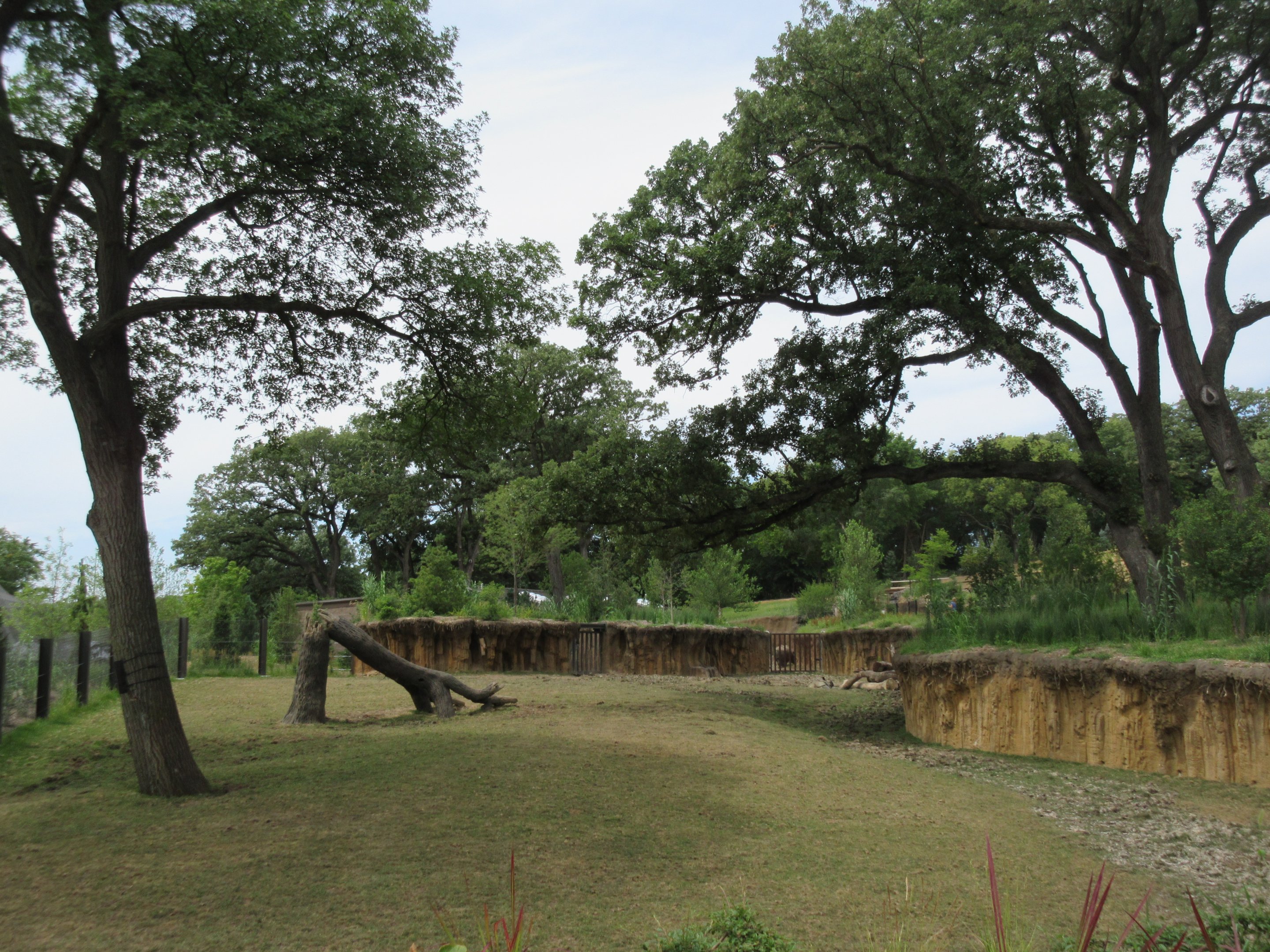 Asian Highlands: Phase One - Greater One-horned Rhino/Pere Davids Deer Exhibit