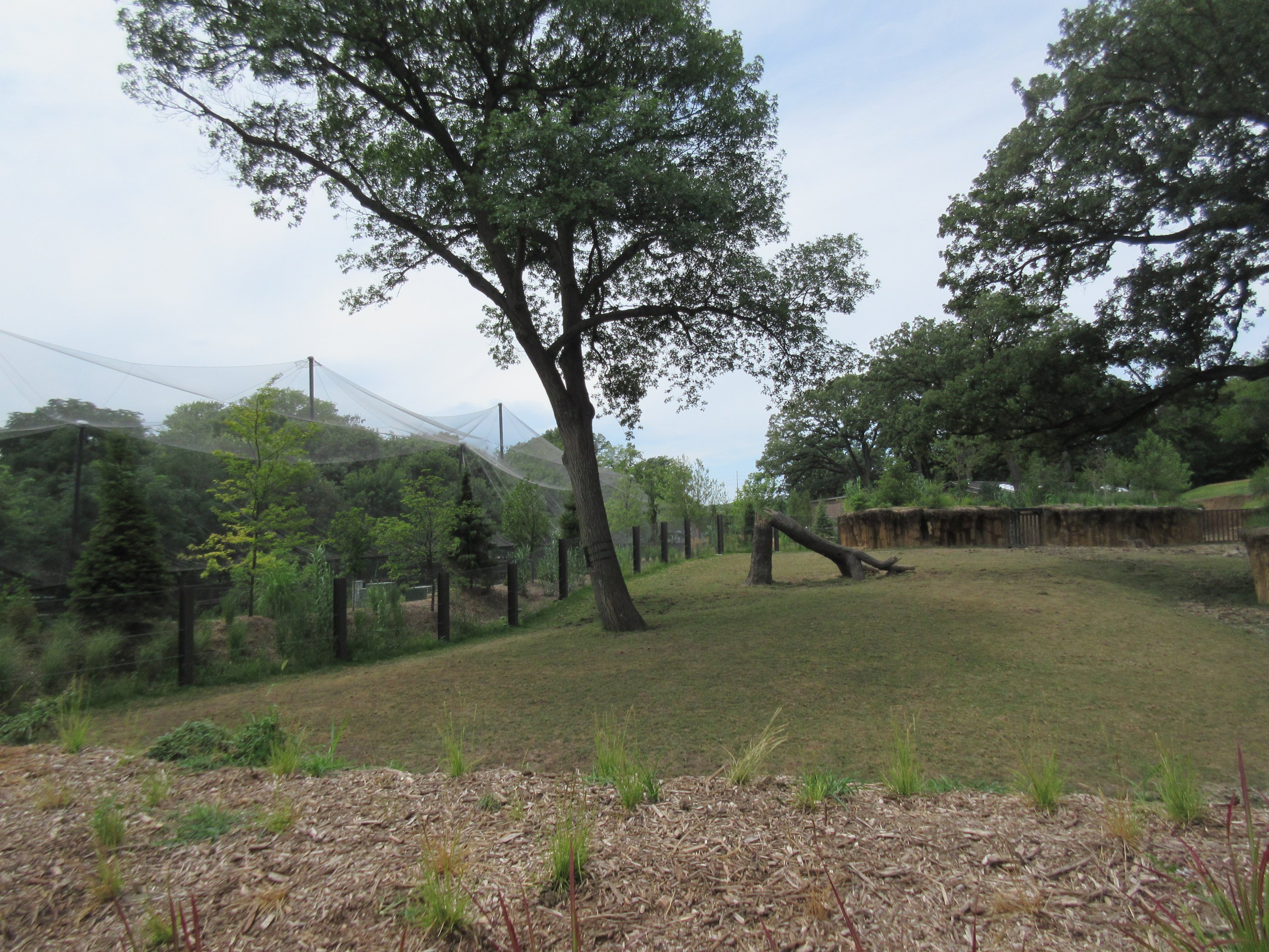 Asian Highlands: Phase One - Greater One-horned Rhino/Pere Davids Deer Exhibit
