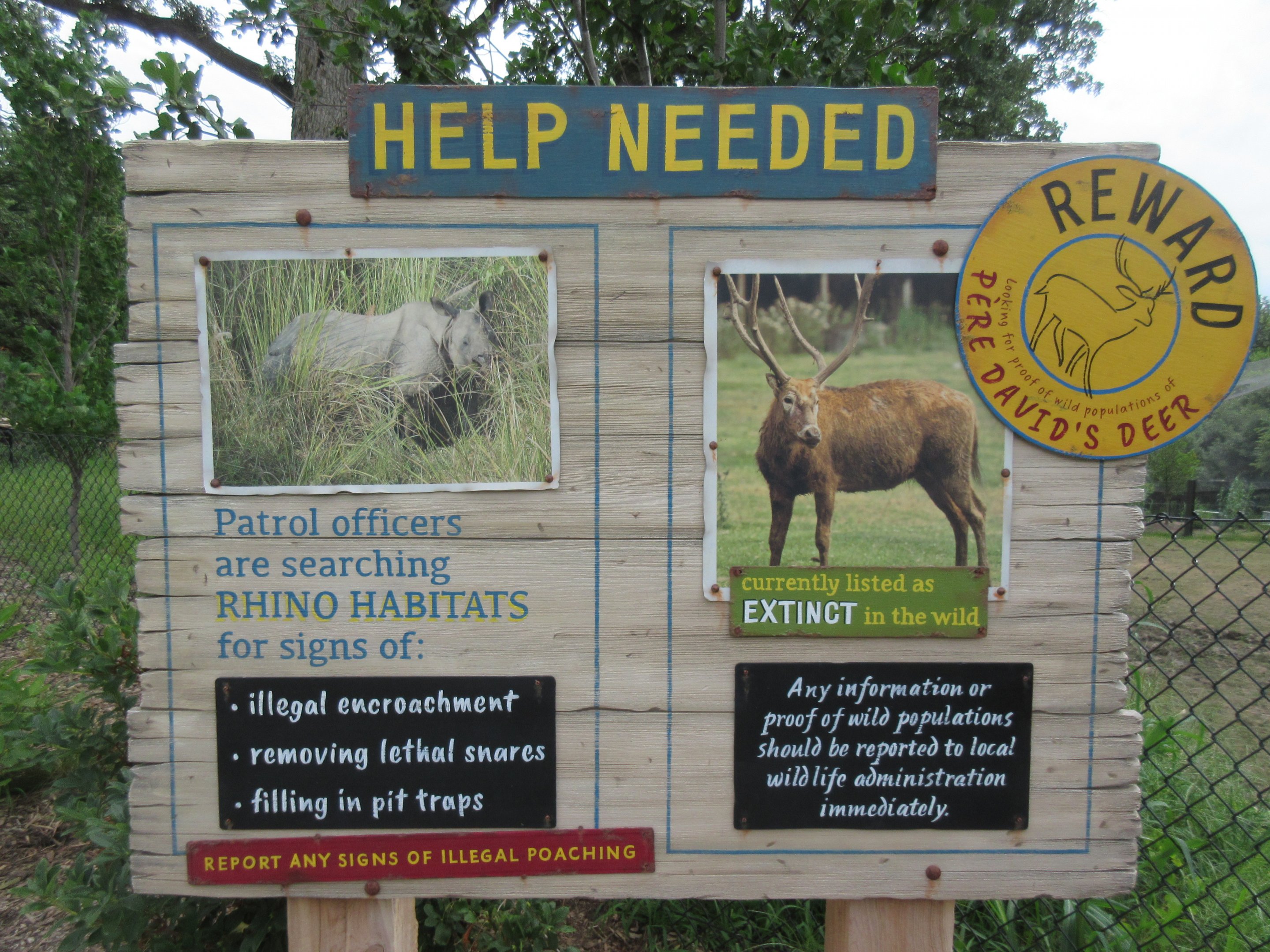 Asian Highlands: Phase One - Greater One-horned Rhino/Pere Davids Deer Exhibit