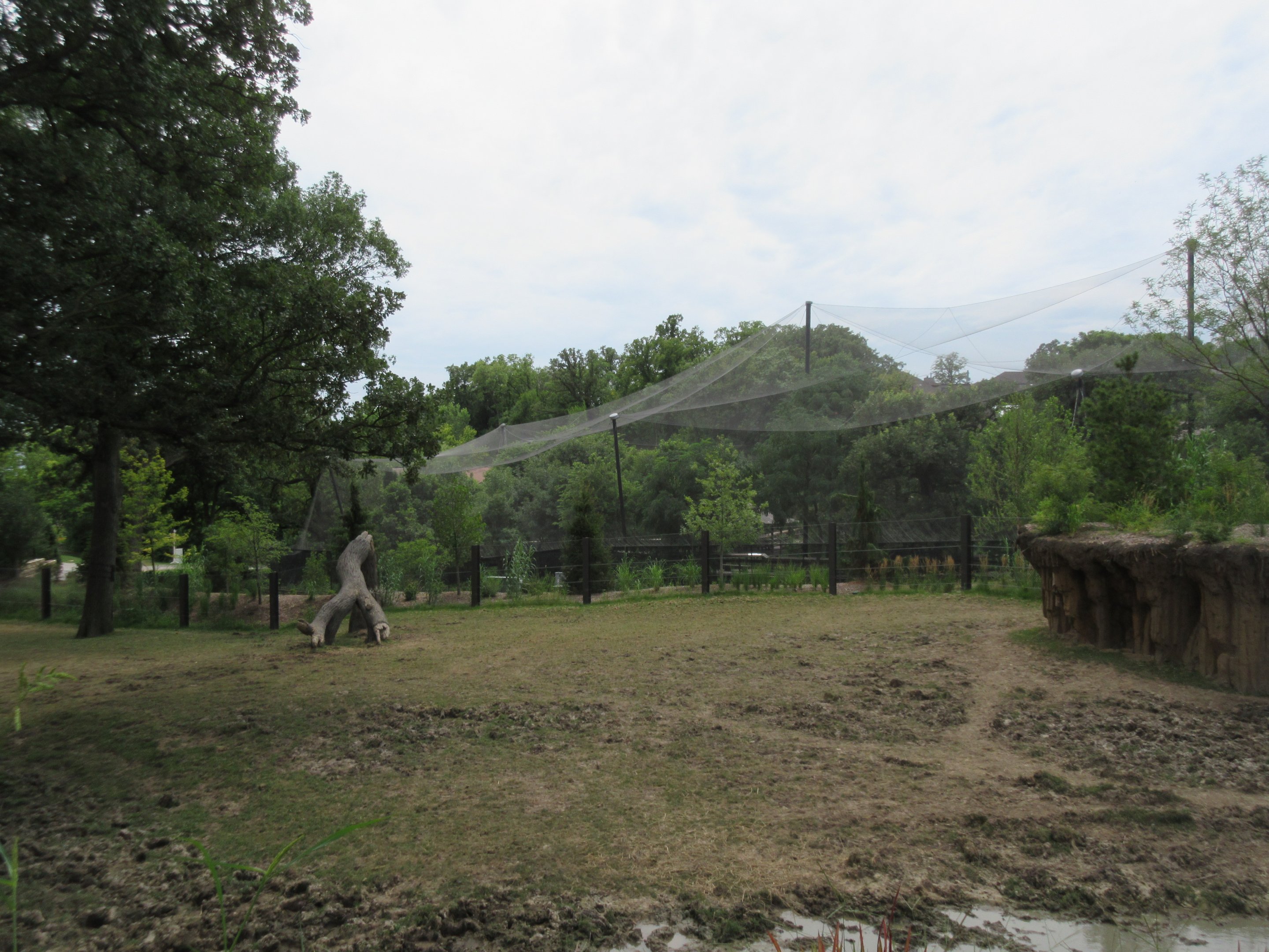 Asian Highlands: Phase One - Greater One-horned Rhino/Pere Davids Deer Exhibit