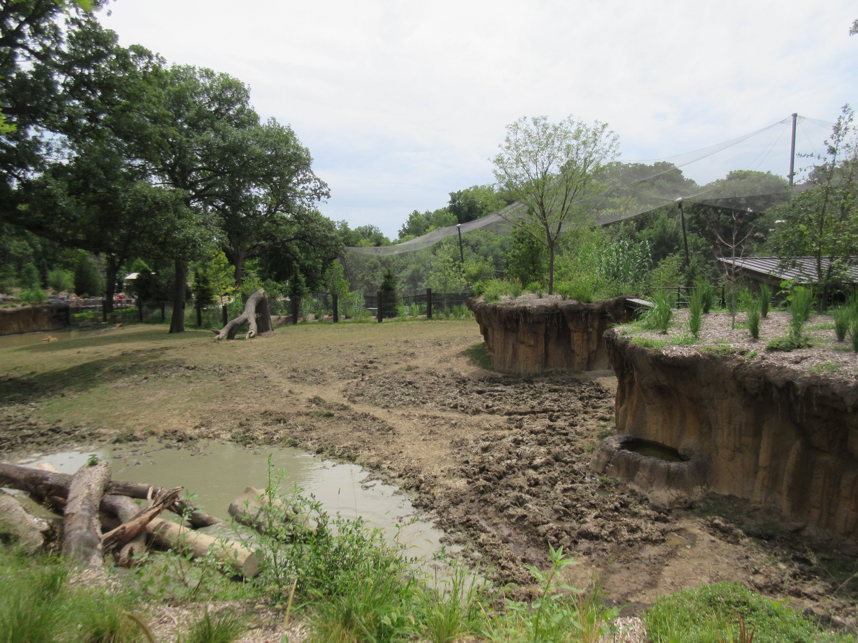 Asian Highlands: Phase One - Greater One-horned Rhino/Pere Davids Deer Exhibit