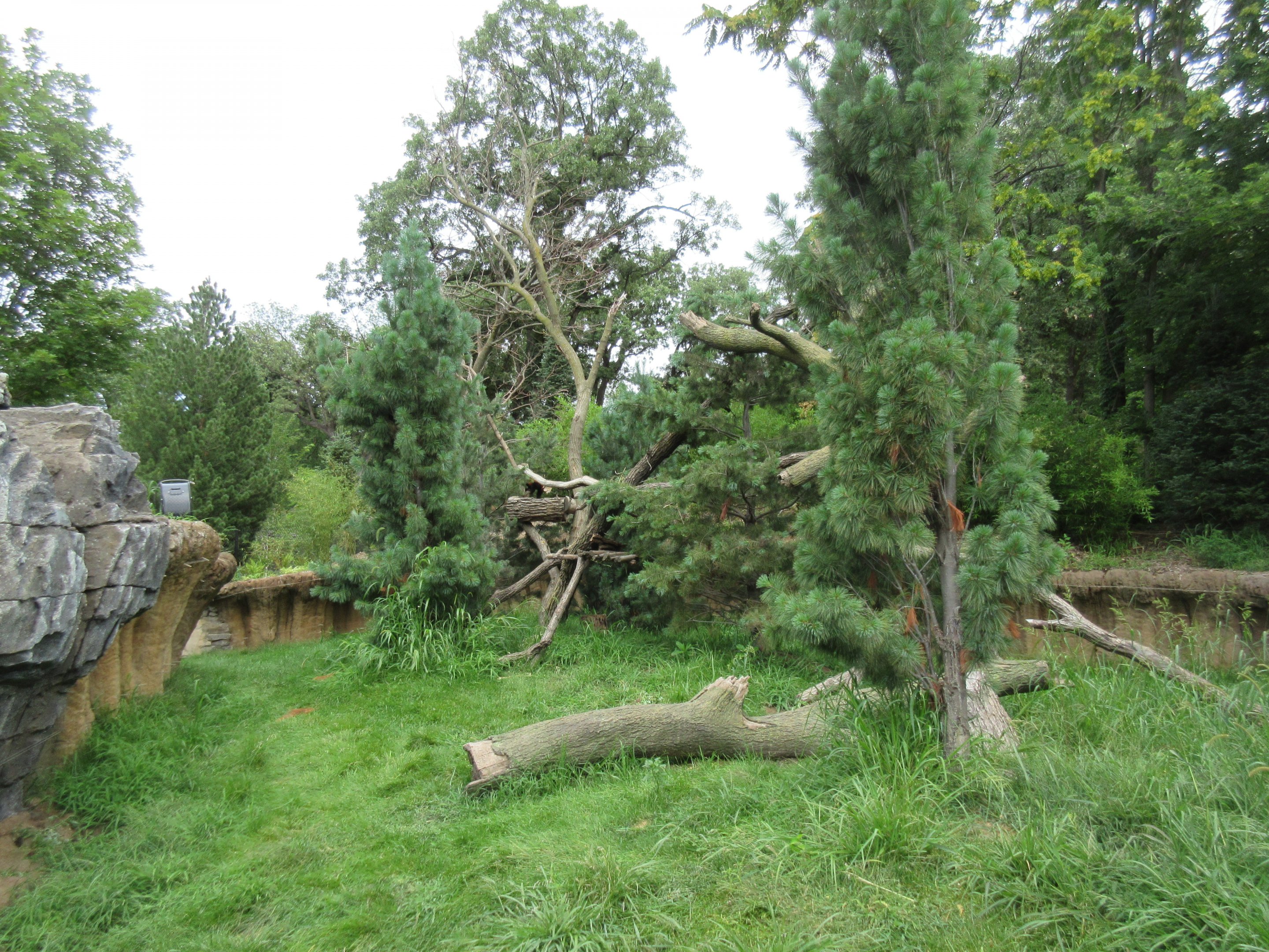 Asian Highlands: Phase One - Red Panda Exhibit
