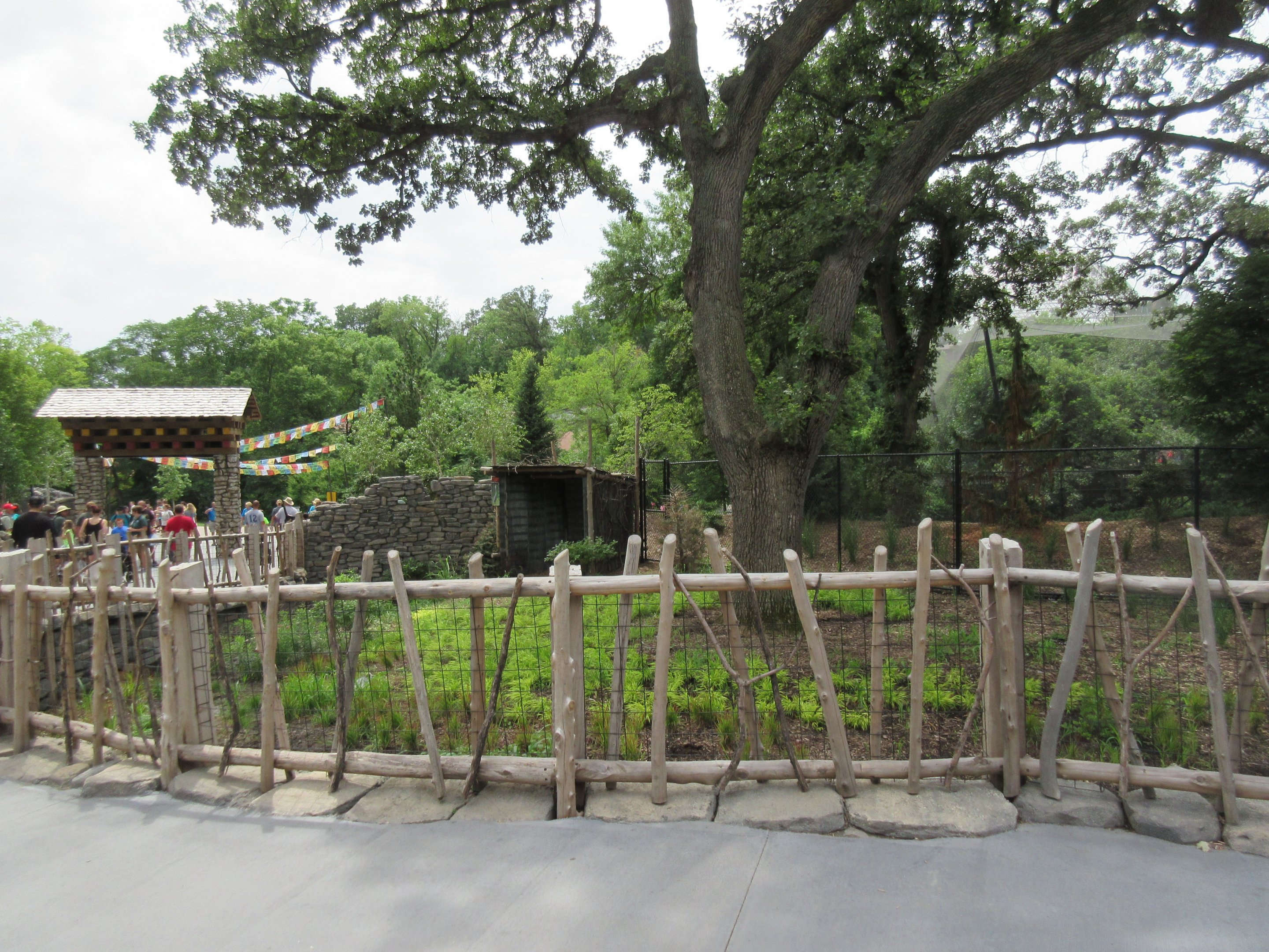 Asian Highlands: Phase One - White-naped Crane Exhibit