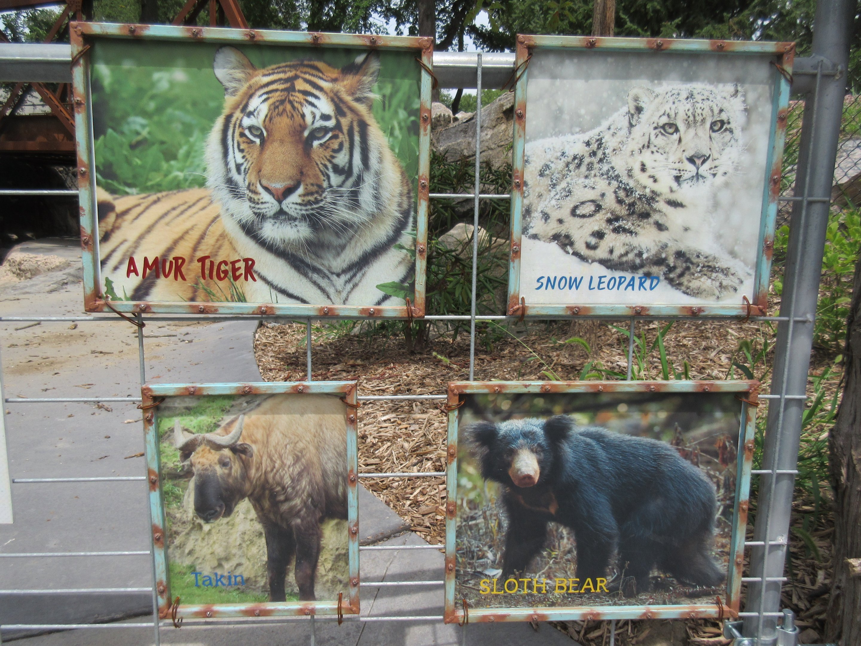 Asian Highlands: Phase Two (2019)