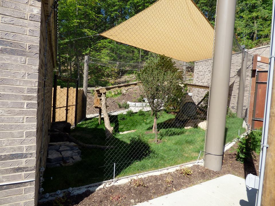 Asian Highlands - Red Panda Exhibit