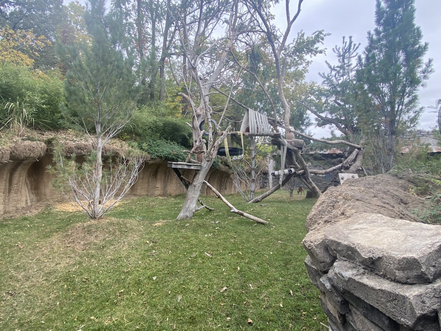 Asian Highlands - Red Panda/Reeve’s Muntjac Exhibit