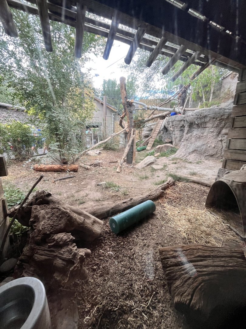 Asian highlands rotation habitat