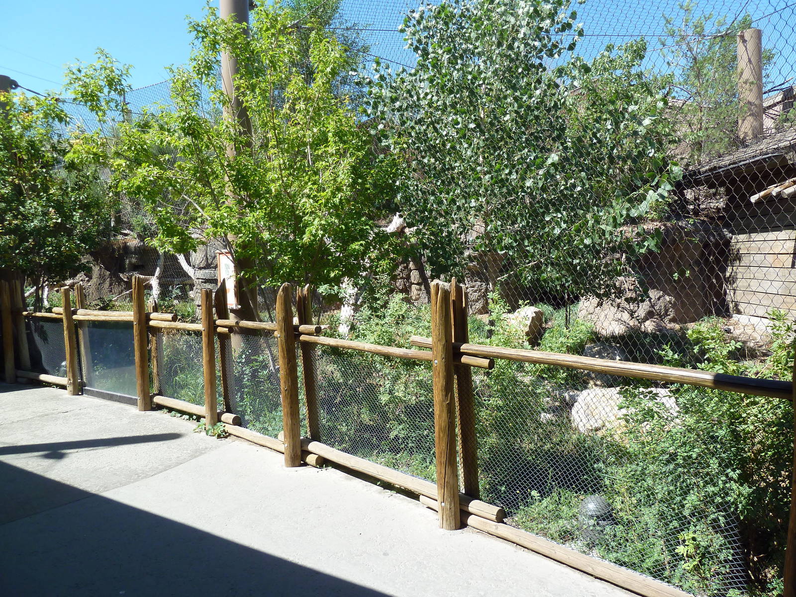 Asian Highlands - Siberian Lynx Exhibit