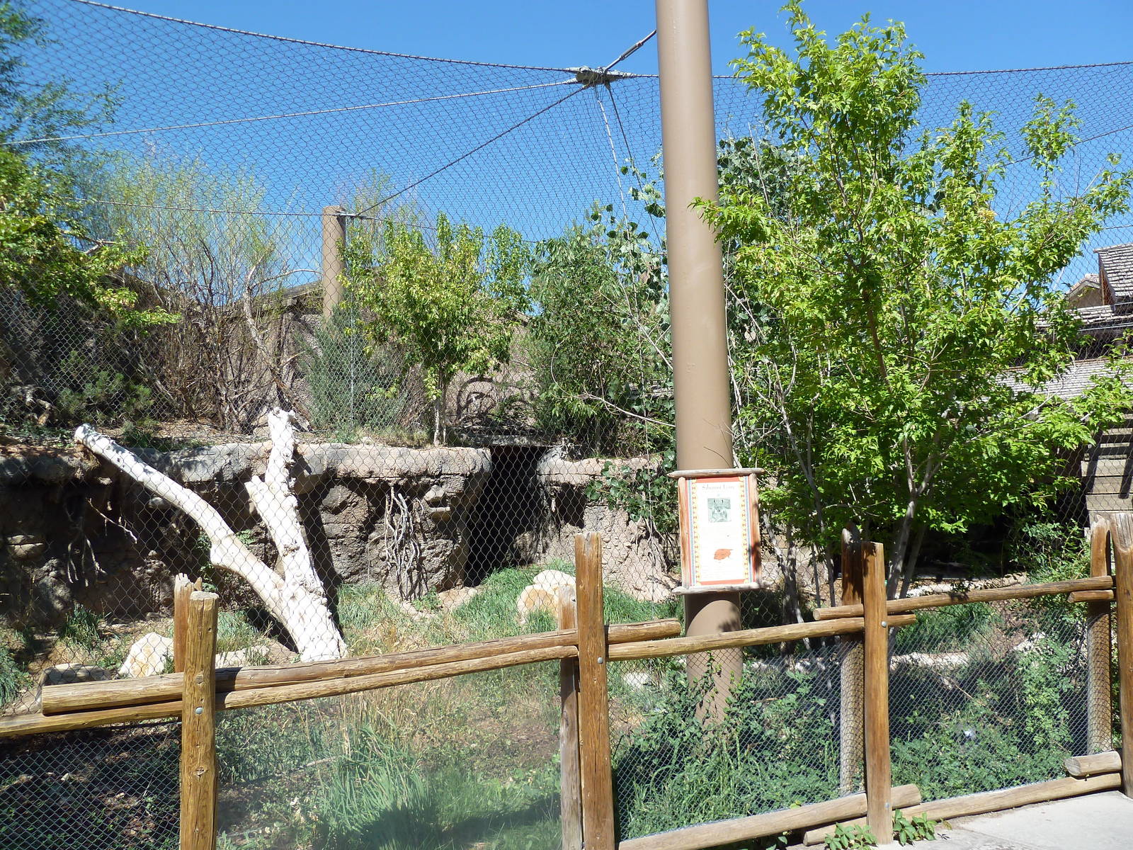 Asian Highlands - Siberian Lynx Exhibit