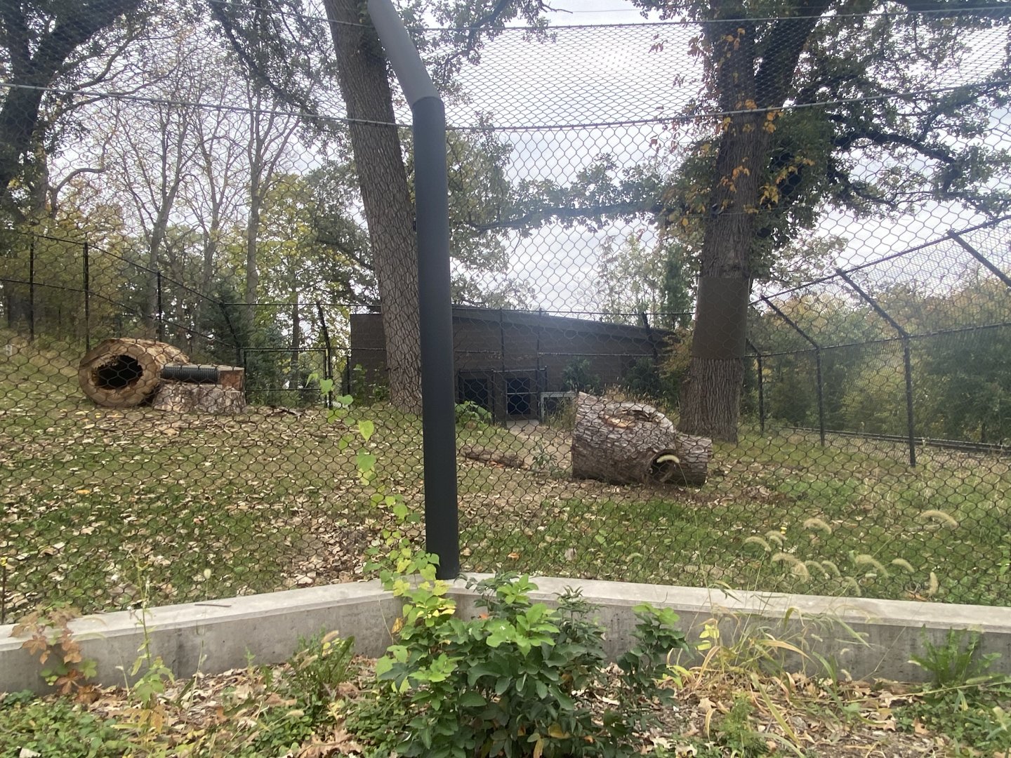 Asian Highlands - Sloth Bear Exhibit