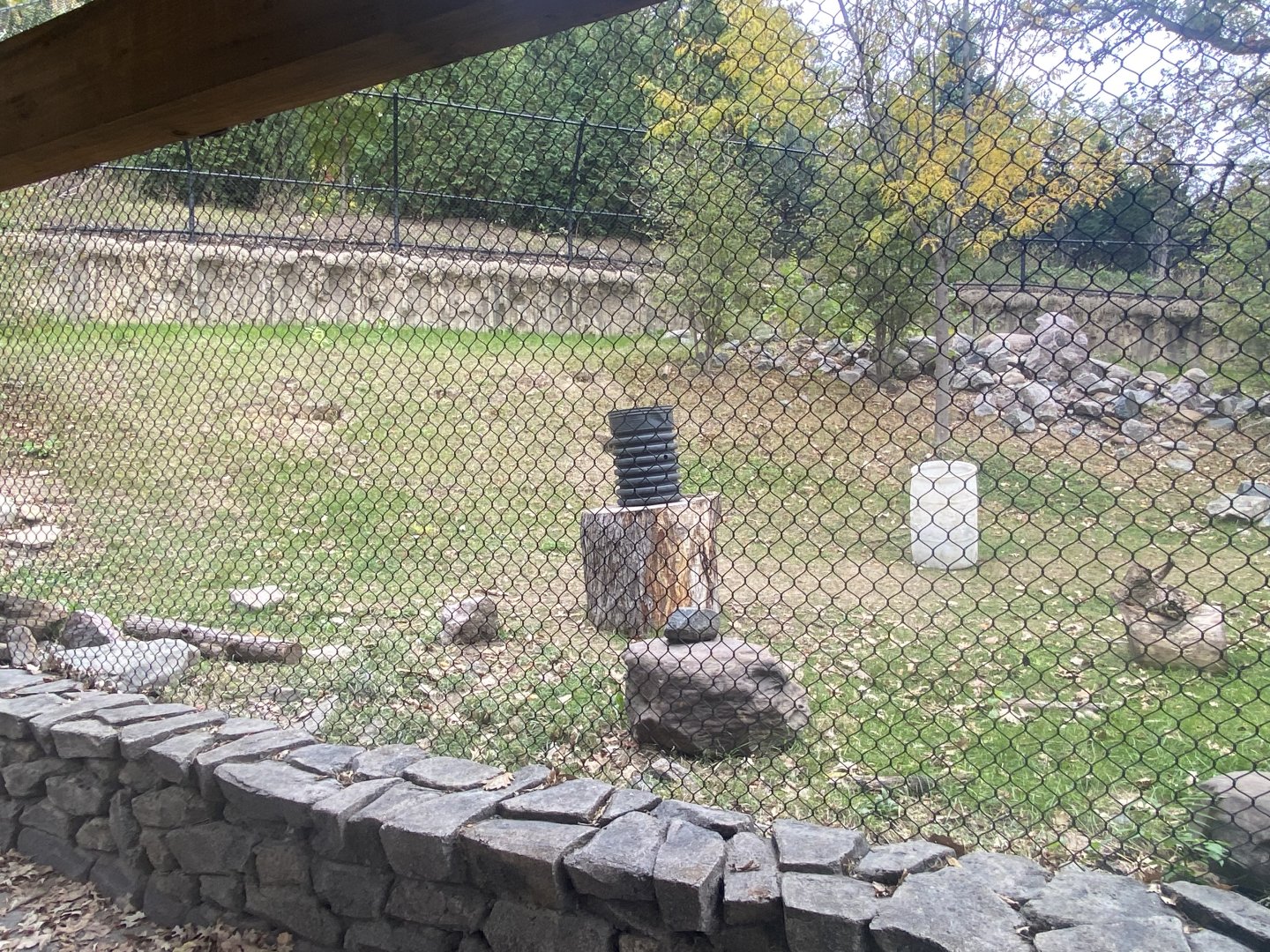 Asian Highlands - Sloth Bear Exhibit