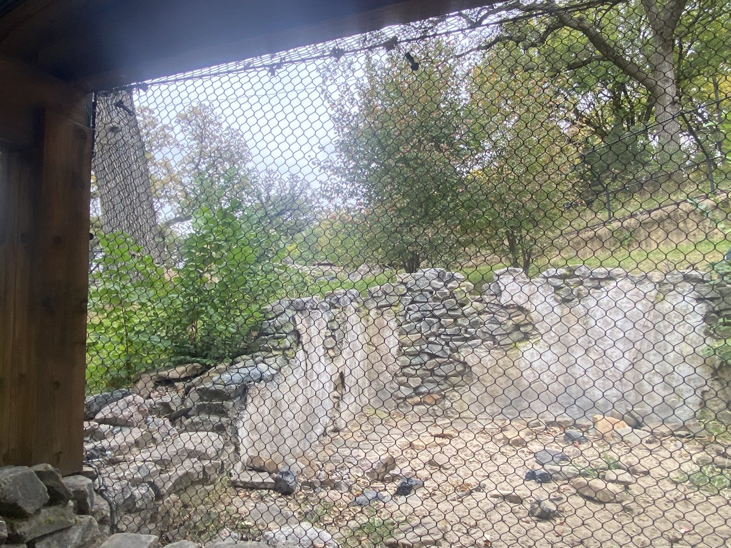 Asian Highlands - Sloth Bear Exhibit