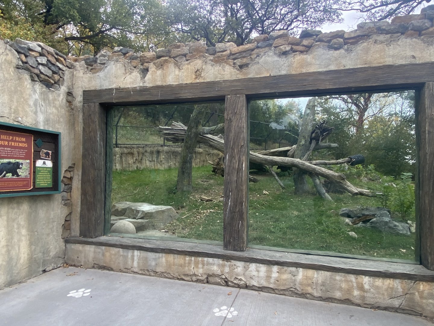 Asian Highlands - Sloth Bear Exhibit