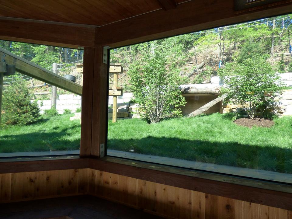 Asian Highlands - Snow Leopard Exhibit #1 - June 2018