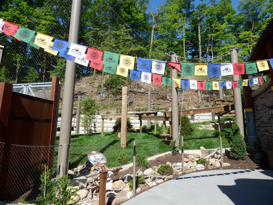 Asian Highlands - Snow Leopard Exhibit #1