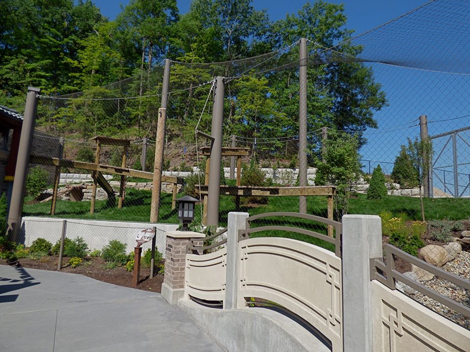 Asian Highlands - Snow Leopard Exhibit #2