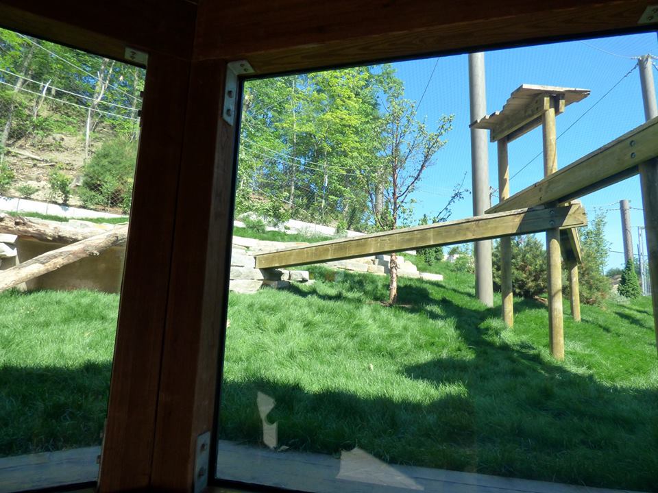 Asian Highlands - Snow Leopard Exhibit #2