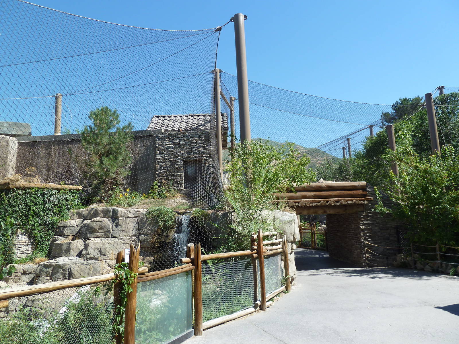 Asian Highlands - Snow Leopard Exhibit + Amur Tiger Bridge