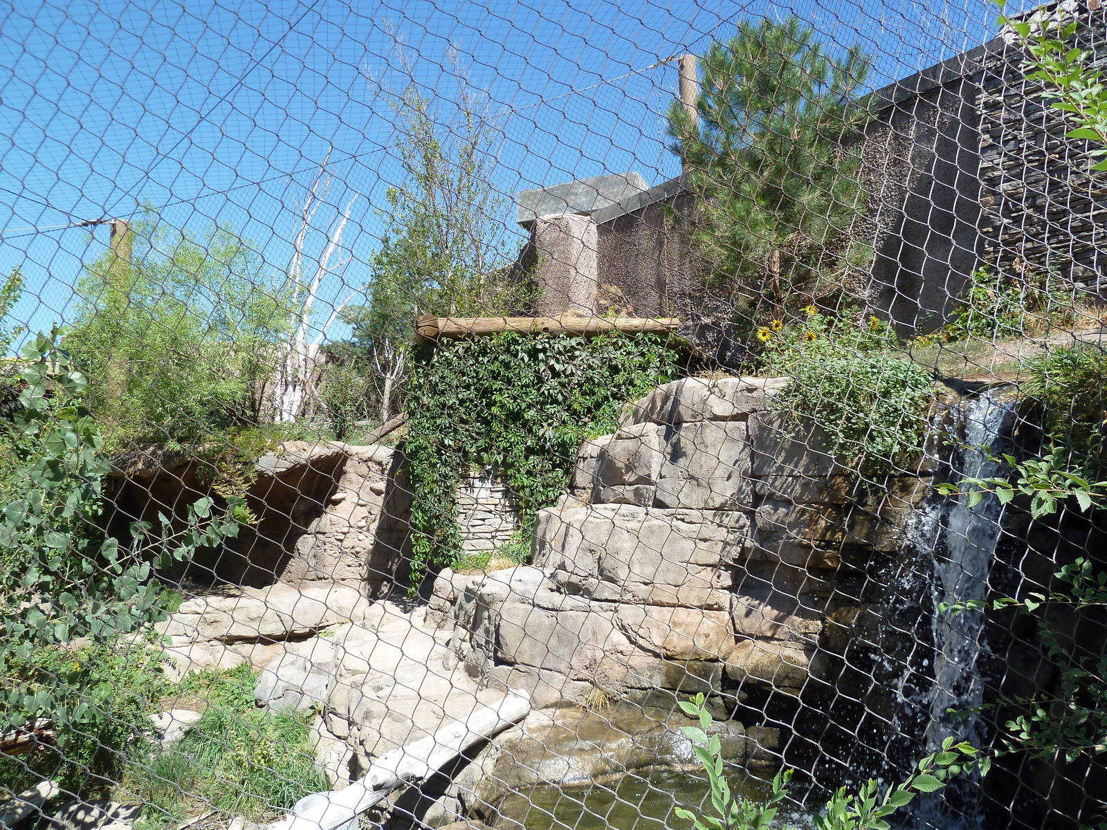 Asian Highlands - Snow Leopard Exhibit