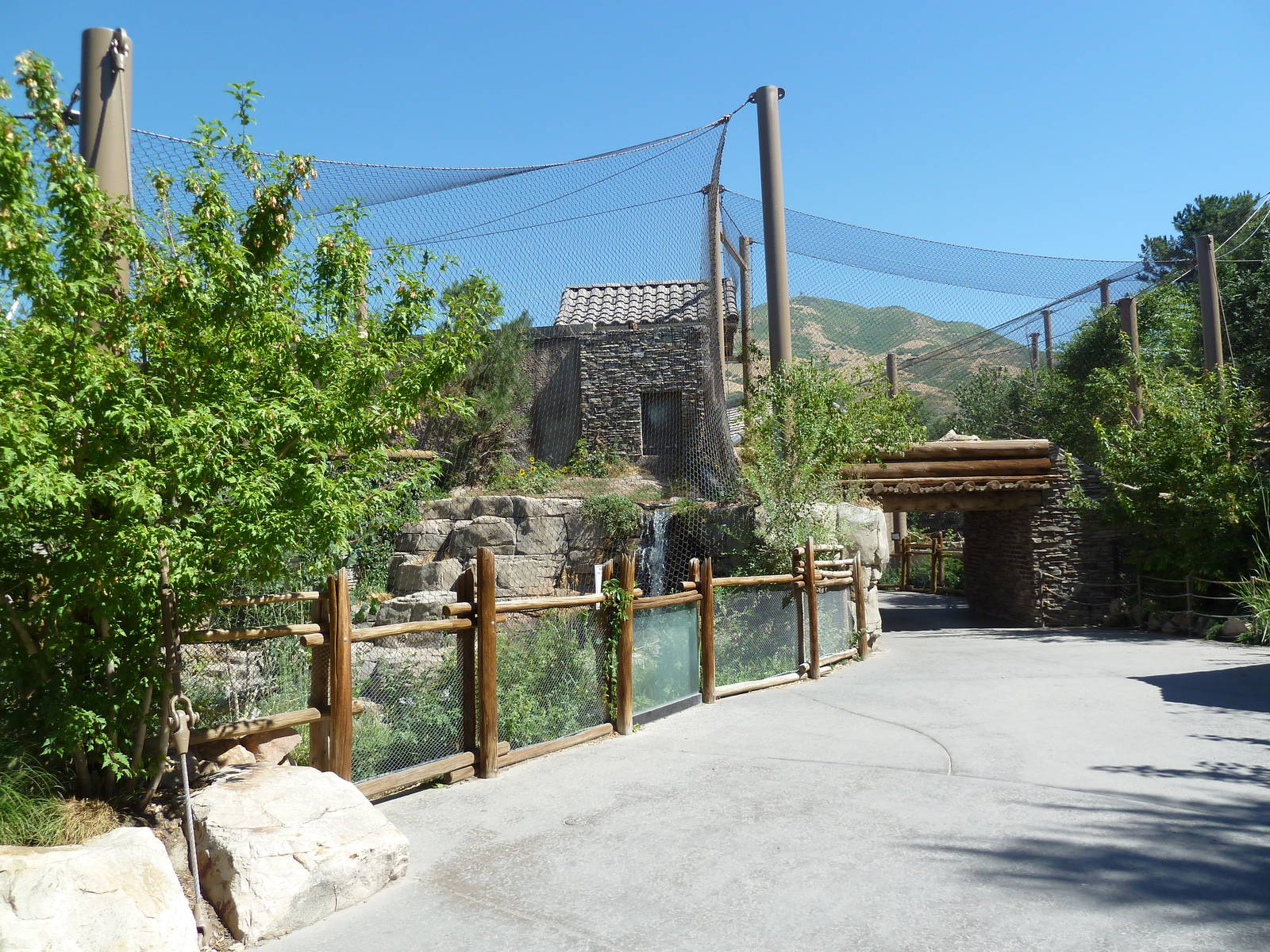 Asian Highlands - Snow Leopard Exhibit