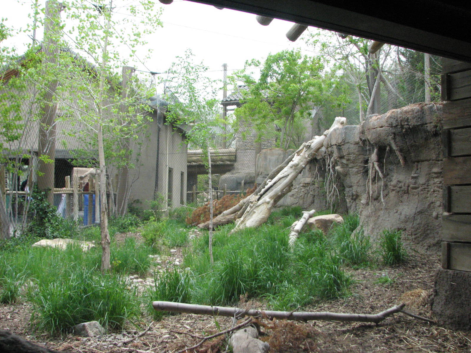 Asian Highlands - Snow Leopard Exhibit