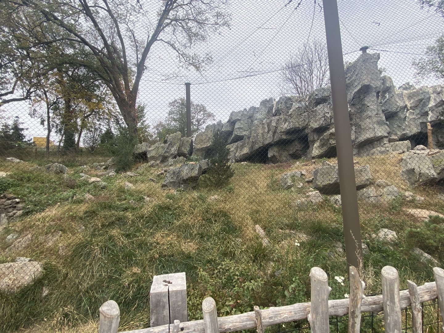 Asian Highlands - Snow Leopard Exhibit
