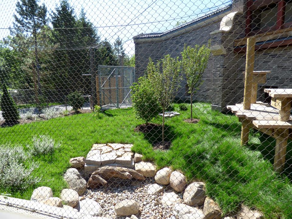 Asian Highlands -Snow Leopard "Nursery" Exhibit