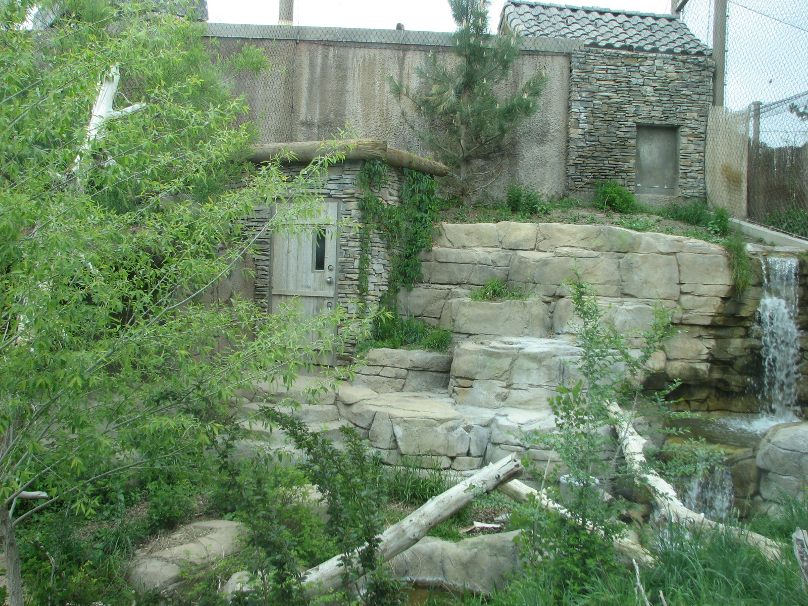 Asian Highlands - Snow Leopard